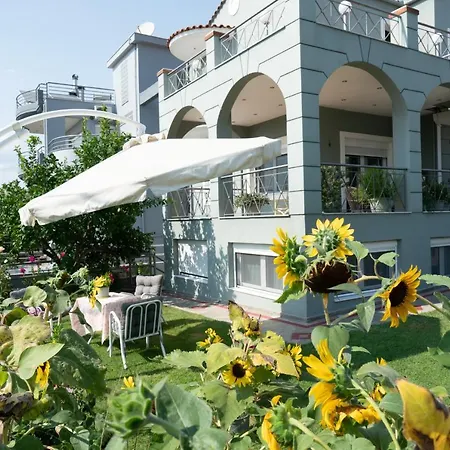Apollon House * וולוס